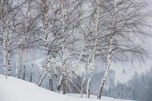 una abundante nevada en los cárpatos rumanos en el pueblo de sirnea, brasov. invierno real con nieve en el campo foto