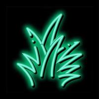 tropical bush neon glow icon illustration vector