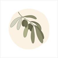 Olive tree branch in cartoon style. Vector illustration.