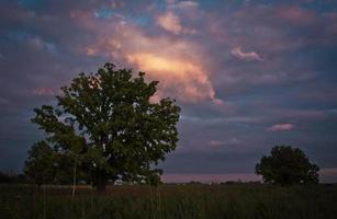 Cloudy pink evening sky in rural area landscape photo