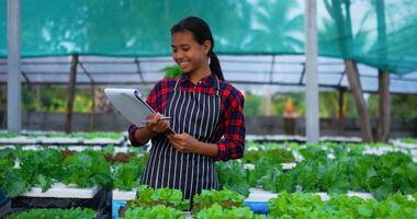 imágenes de jóvenes agricultoras asiáticas que trabajan con una tableta mientras revisan ensalada de lechuga de roble verde fresca, vegetales hidropónicos orgánicos en una granja de viveros. concepto de negocio y vegetales hidropónicos orgánicos. video