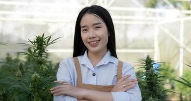 handgehalten, porträt einer jungen asiatischen frau, die mit einem lächeln und verschränkten armen steht und zwischen marihuana- oder cannabispflanzen im pflanzenzelt in die kamera schaut. video