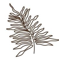 hand drawn shapes and floral leaf design elements. Exotic jungle leaves. vector