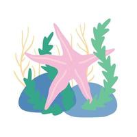 Starfish on seabed with rocks and algae. Decoration of water and ocean. Flat cartoon illustration isolated on white vector