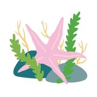 Starfish on seabed with rocks and algae. Decoration of water and ocean. Flat cartoon illustration isolated on white vector