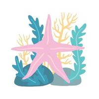 Starfish on seabed with rocks and algae. Decoration of water and ocean. Flat cartoon illustration isolated on white vector