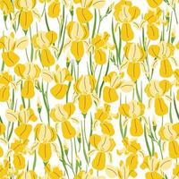 Bright seamless pattern with yellow irises on white background. Summer floral decorative print vector