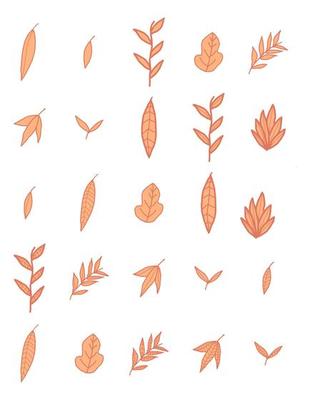 collection of vector illustrations of fall leaf