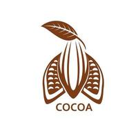 Cocoa, chocolate cacao bean icon for choco product vector