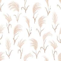 Pampas grass seamless pattern, dry boho background vector