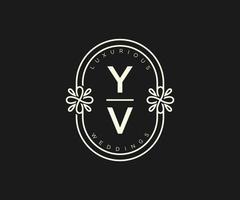 plantilla de logotipos de monograma de boda con letras iniciales de yv, plantillas florales y minimalistas modernas dibujadas a mano para tarjetas de invitación, guardar la fecha, identidad elegante. vector