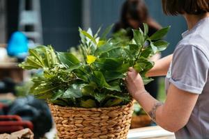 A woman is preparing decorations for a wedding. Close view photo