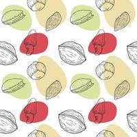 Seamless pattern with Nuts hand drawn doodle - walnut, hazelnut, almond and pistachio. Spots. White background. vector