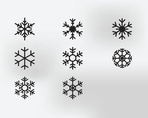 Set of Various types of Snowflakes