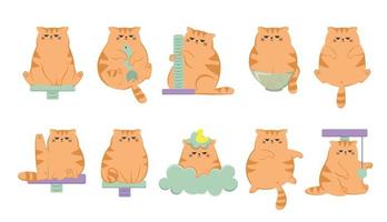 The collection of cute funny grumpy ginger cat. Cats sitting, sleeping and playing with cats house. Cute funny cartoon cat character in different poses. vector