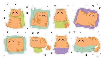 The collection of stickers with cute funny grumpy ginger cat in the paper box.Cats sitting, sleeping and playing in cardboard box. Cute cartoon character in different poses with box vector