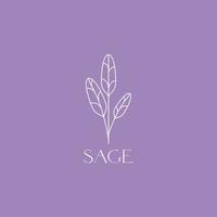 sage leaves plant scent burning therapy smoke minimal logo design vector icon illustration template