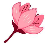 Sakura flower in bloom, flourishing cherry tree vector