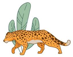 Hunting cheetah, feline animal hiding by leaves vector