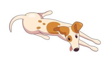 Jack russel terrier lying on the floor, ready to play. Vector illustration in cute cartoon style