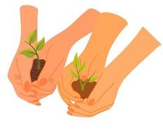 Happy Tu Bishvat on Hebrew. Hand holding Green sprout Concept..  Planting Seeds of Change. New Year for Trees, Jewish Holiday. Vector cartoon illustration isolated on the white background.