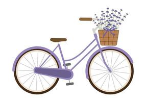 Cute purple bike with lavender flowers in basket. Isolated on white background. Retro bike carrying basket with flowers. Vector illustration.