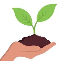 Hand Giving Growing Plant vector