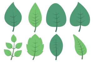 conjunto de ocho hojas diferentes vector