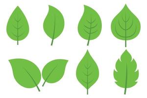 Set Of Different Style Green Leaves vector