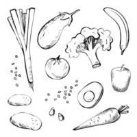 garabatos dibujados a mano con verduras, nueces y frutas. dibujado brócoli, berenjena, manzana, plátano, tomate, nueces, aguacate, cebolla, papa, zanahoria en un fondo aislado. para su diseño. vector