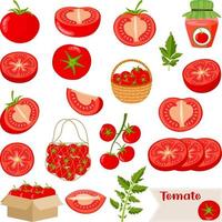 Set of digital elements with fresh tomato vector