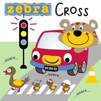 Cute tiger on funny car, duck family crossing road at stoplight on, vector cartoon illustration