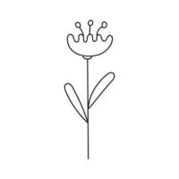 dibujado a mano ilustración de flores vector