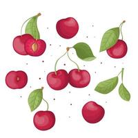 conjunto de cerezas, conjunto de verano de cerezas vectoriales, cerezas vectoriales. doodle de bayas frescas de jardín, productos veganos orgánicos, vector de cereza jugosa