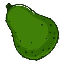 Avocado pear ripe vegetable with peel exotic fruit vector