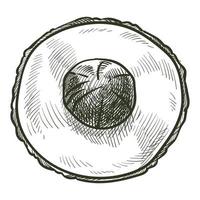 Avocado with seed top view, monochrome sketch vector