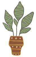 Houseplant with wide leaves in pot with ornaments vector