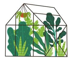 Orangery with green plants and botany leafage vector