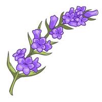 Branch of blooming flower with leaves and petals vector