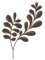 Decorative leaves on branch botanical flora design vector