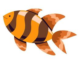 Gold fish with stripes, tropical animal in sea vector