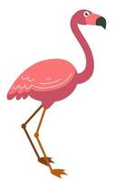 Pink flamingo tropical bird on long leg vector
