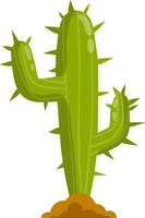 Cactus in the desert. Big Mexican plant. Green succulent. Element of southern tropical summer landscape. Flat cartoon illustration vector