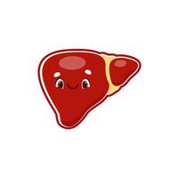 Cartoon liver human body organ smiling character vector