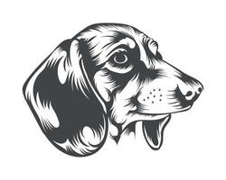 Dachshund Dog Breed Vector Illustration, Dachshund Dog Vector on White Background for t-shirt, logo, and others