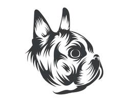ilustración de vector de raza boston terrier, vector de perro boston terrier sobre fondo blanco para camiseta, logotipo y otros