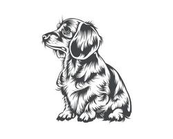 Dachshund Dog Breed Vector Illustration, Dachshund Dog Vector on White Background for t-shirt, logo, and others