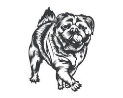 Ilustración de vector de raza de perro pug, vector de perro pug sobre fondo blanco para camiseta, logotipo y otros