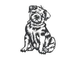 Ilustración de vector de raza de perro pug, vector de perro pug sobre fondo blanco para camiseta, logotipo y otros