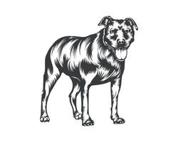 ilustración vectorial de raza de perro pitbull, vector de perro pitbull sobre fondo blanco para camiseta, logotipo y otros